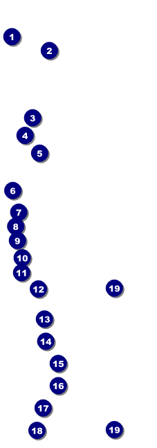 Tuscany Raffle Ticket Front Field Markers