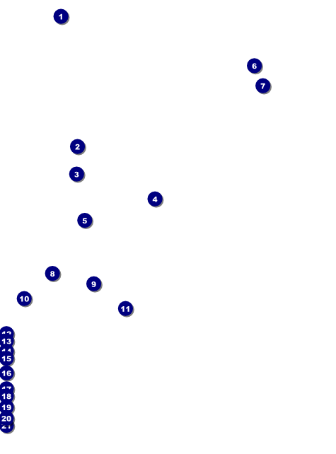 Leukemia Flyer Front Field Markers