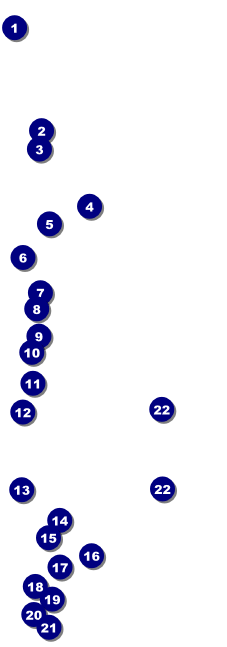 Leukemia Event Ticket Front Field Markers