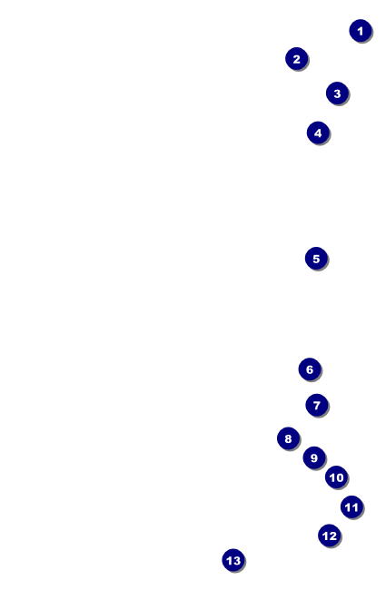 St. Patrick's Day Party Drink Ticket Front Field Markers