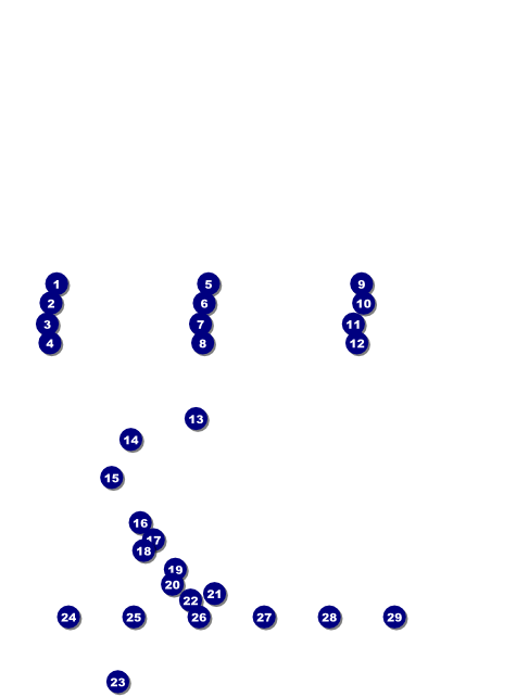 Triathlon Logo Flyer Front Field Markers