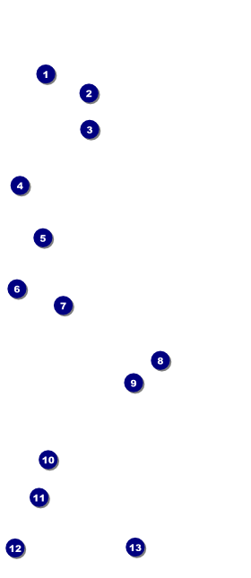 All Purpose Horizon VIP Pass Front Field Markers