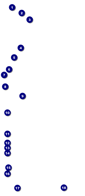 Oral Cancer VIP Pass Front Field Markers