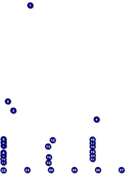 Humane Society Logo Flyer Front Field Markers