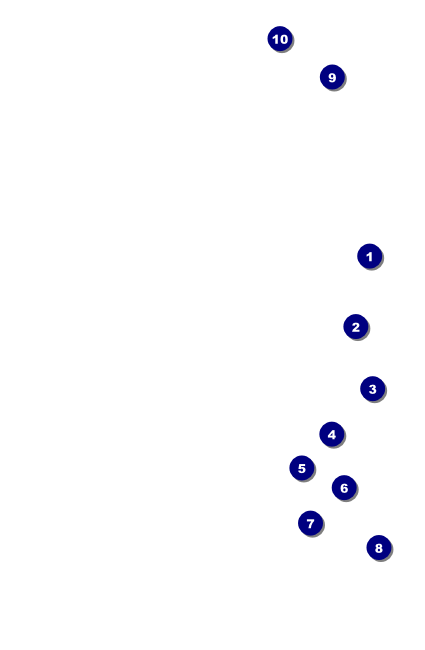 Mexican Flag Drink Ticket Front Field Markers
