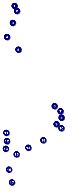 Spaceship VIP Pass Front Field Markers