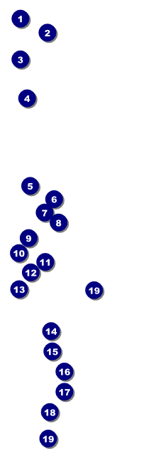 Swim Camp Raffle Ticket Front Field Markers