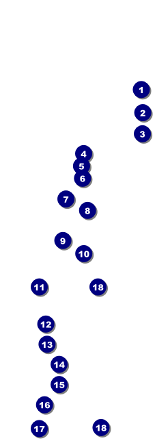 Spanish Festival Raffle Ticket Front Field Markers