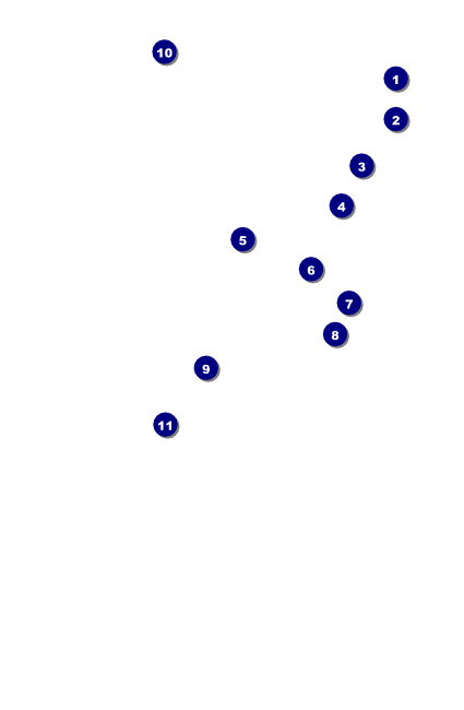 Hawaii Drink Ticket Front Field Markers