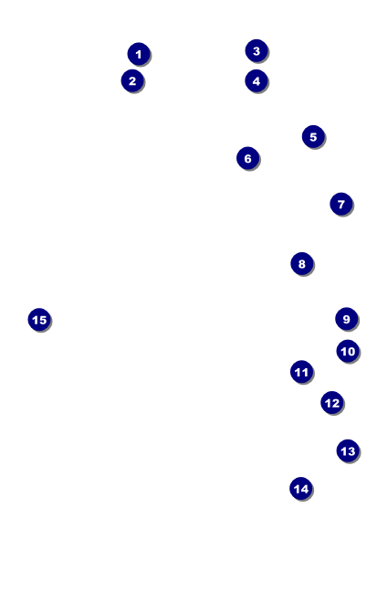 Car Racing VIP Event Badge Medium Front Field Markers