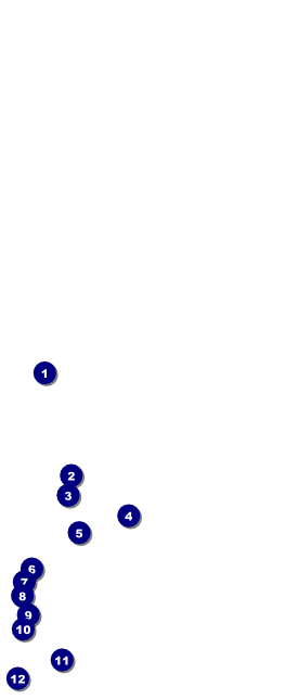 Leukemia Table Tent Front Field Markers
