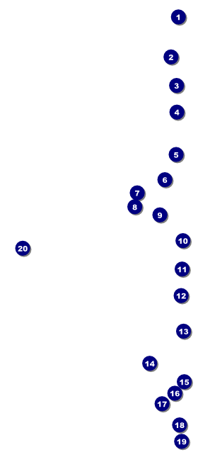 St Patricks Day  Plaid VIP Event Badge Large Front Field Markers