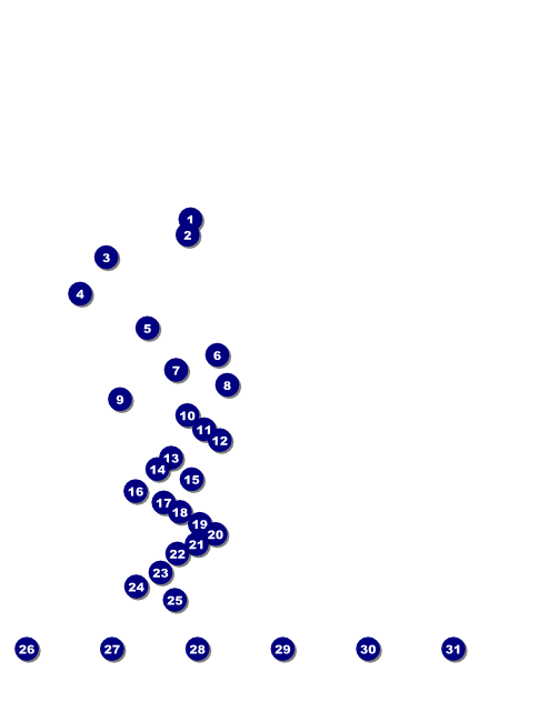 Oregon Flyer Front Field Markers