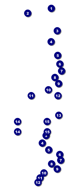 World Food Festival Reserved Event Ticket Front Field Markers