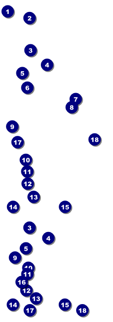 Alice in Wonderland Reserved Event Ticket Front Field Markers