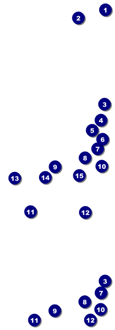 Bon Odori Reserved Event Ticket Front Field Markers
