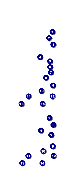Carnival 001 Reserved Event Ticket Front Field Markers