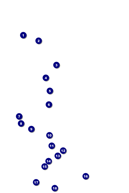 All Purpose Chalkboard Black and White Poster Front Field Markers