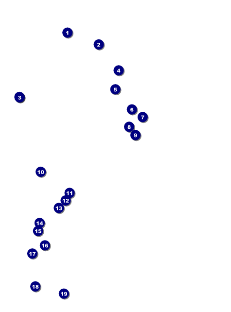 Reunion 2 Flyer Front Field Markers