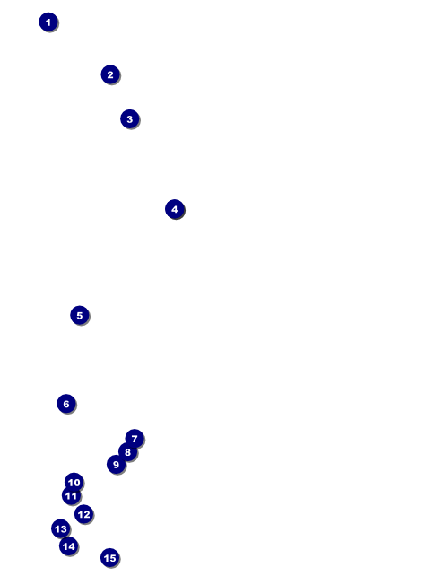 Reunion 3 Flyer Front Field Markers