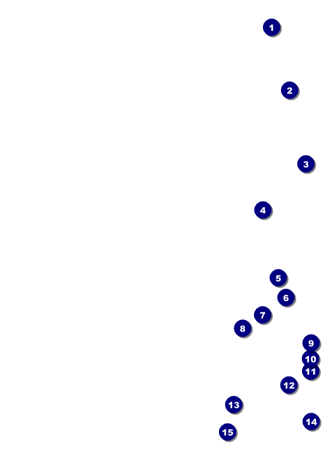 Black Friday Invitation Front Field Markers