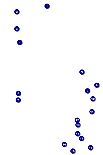 Pool Challenge Poster Front Field Markers