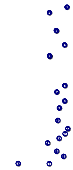 Premier League Darts 2017 VIP Pass Front Field Markers