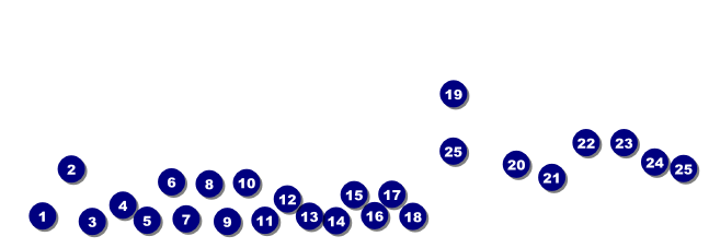 Blue Skies Raffle Ticket 0007 Front Field Markers