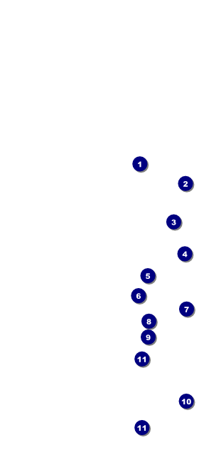 Gold Glitter Hang Tag Front Field Markers