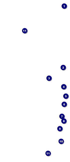 Football Purple Hang Tag Front Field Markers