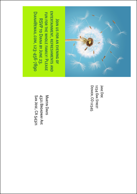 Dandelion Postcard Mailer Product Back