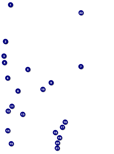 Roller Derby Passing Star Flyer Front Field Markers