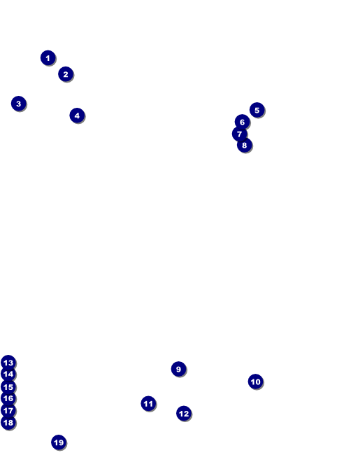 Animal Rescue Flyer Front Field Markers
