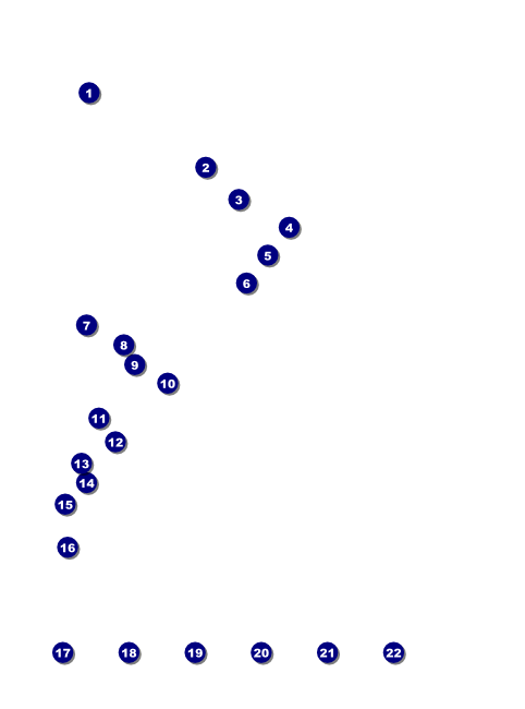 Oktoberfest Green Flyer Front Field Markers