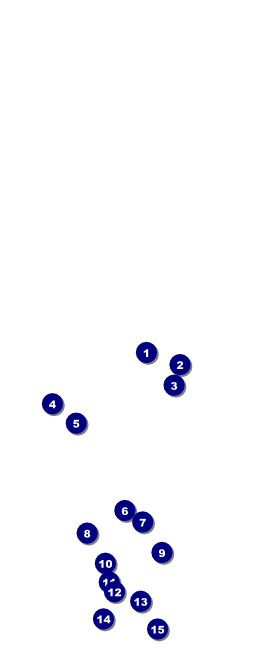 Christmas Angel  Table Tent Front Field Markers