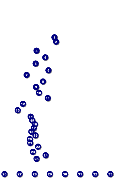 St. Patrick's Day Poster Front Field Markers