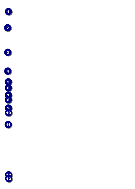 Youth Softball Club Flyer Front Field Markers