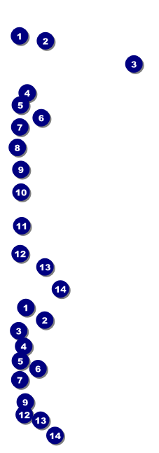Military Ball - The Salute Event Ticket Front Field Markers