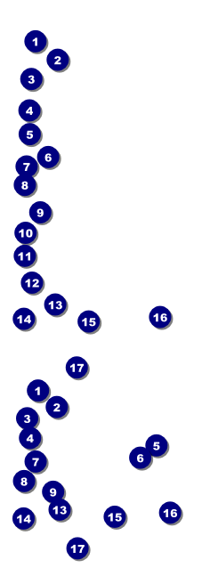Military Ball - US Flags Reserved Event Ticket Front Field Markers