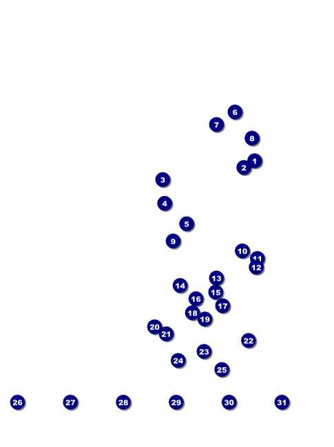 Twin Cities Flyer with Image Upload Front Field Markers