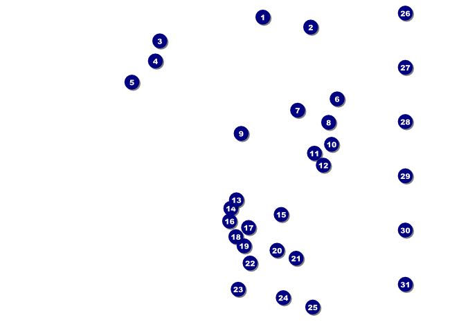 San Antonio Flyer Front Field Markers
