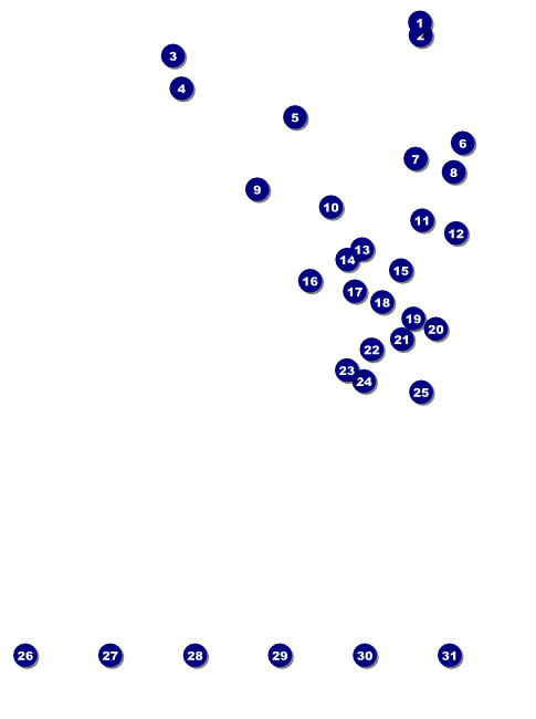 Houston Flyer (Black & white) Front Field Markers