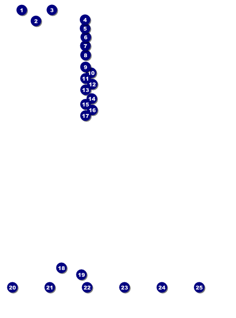 Toronto Flyer (White) Front Field Markers