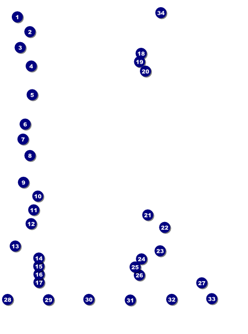 Run for a Cause Blue & Green Logo Flyer Front Field Markers