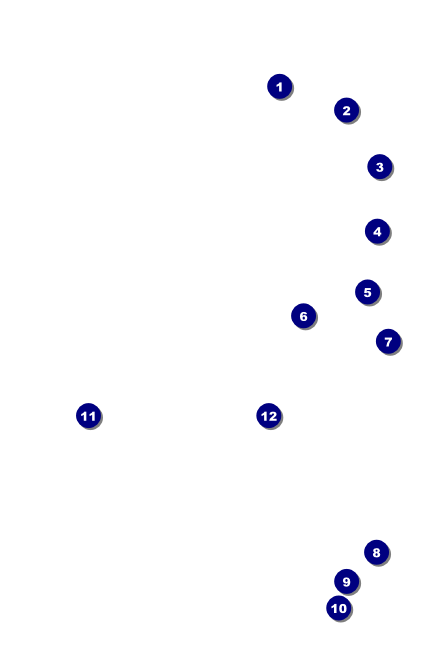 All Purpose Geometric VIP Event Badge Small Front Field Markers