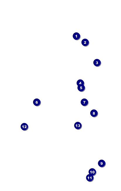 Diamonds Black 2 VIP Event Badge Medium Front Field Markers