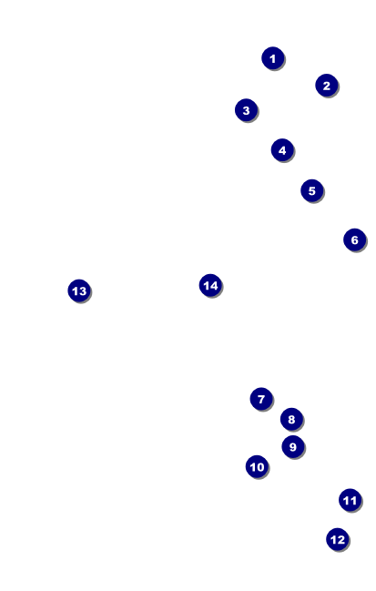 MMA Main Event VIP Event Badge Medium VIP Event Badge Medium Front Field Markers