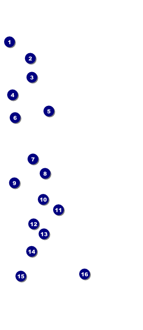 MMA The Fight Night VIP Event Badge Large VIP Event Badge Large Front Field Markers