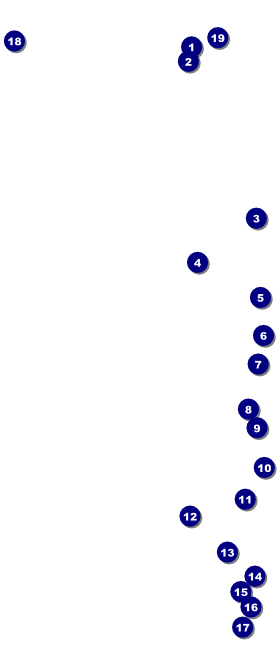 Football Green VIP Event Badge Large Front Field Markers