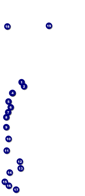 Your Photo Concert VIP Event Badge Large (Yellow) VIP Event Badge Large Front Field Markers